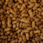 Study describes beneficial effects of peanut consumption on vascular health in young, healthy individuals